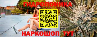 альфа пвп Новокубанск